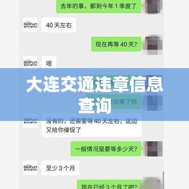 大连交通违章信息查询，便捷高效，护航交通安全之路  第1张