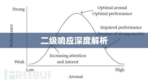 二级响应深度解析，含义与多方影响探讨  第1张