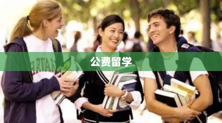 公费留学的探索与实践，开启国际化教育之旅的大门  第1张