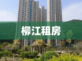 柳江租房，理想居住之选  第1张