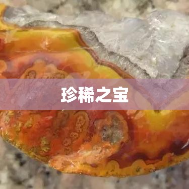 探寻珍稀之宝，真实价值鉴定揭秘  第1张