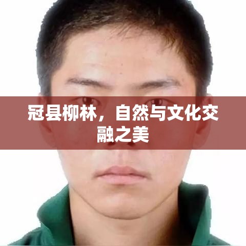 冠县柳林，自然与文化交融之美  第1张