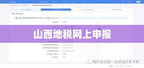 山西地税网上申报，便捷高效，引领税务申报新时代  第1张