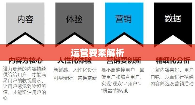 定义、特点与运营要素解析  第1张