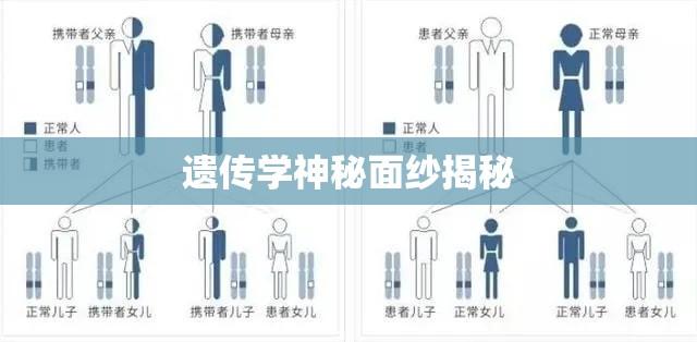 隔代遗传，揭开遗传学的神秘面纱与影响探究  第1张