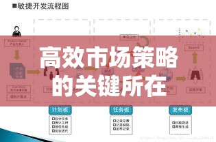 营销制度构建与优化，高效市场策略的关键所在  第1张