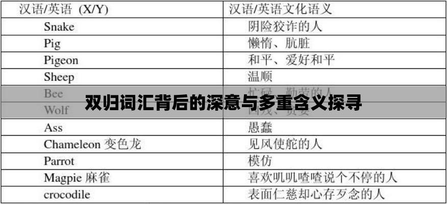 双归词汇背后的深意与多重含义探寻  第1张