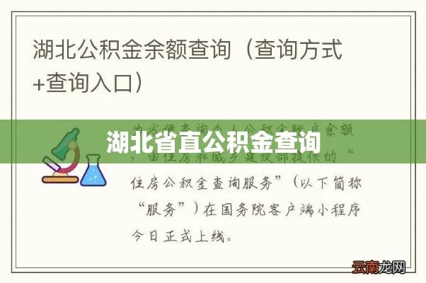 湖北省直公积金查询，便捷途径与操作指南全攻略  第1张