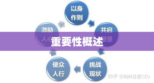 东莞社会保险发展及其重要性概述  第1张