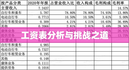 企业工资表的管理、分析与挑战之道  第1张