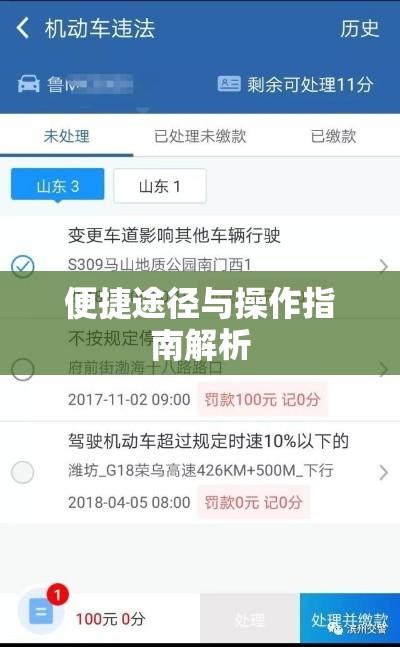 东营机动车违章查询，便捷途径与操作指南全解析  第1张