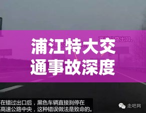 浦江特大交通事故深度剖析与反思  第1张