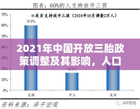 2021年中国开放三胎政策调整及其影响，人口战略再思考  第1张