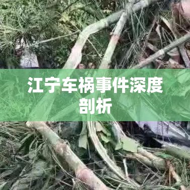 江宁车祸事件深度剖析  第1张