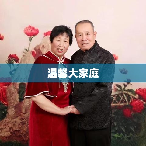 温馨大家庭的成长故事，七口之家的欢乐时光  第1张