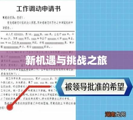 工作调动申请，寻求新机遇与挑战之旅  第1张