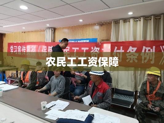 农民工工资保障条例，维护权益，构建和谐社会  第1张