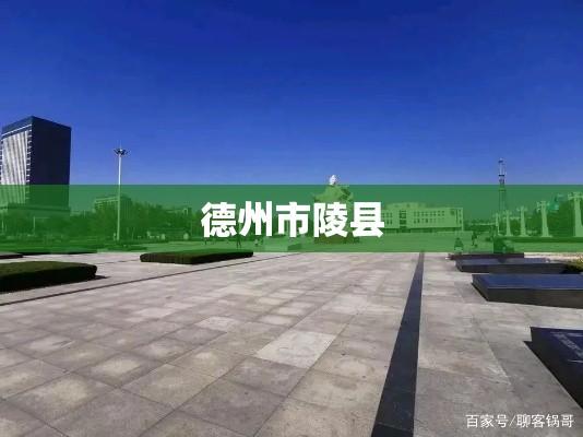 山东省德州市陵县，历史底蕴与现代发展的融合典范  第1张