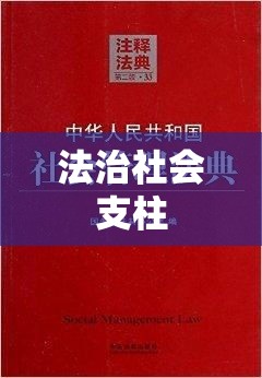 民典法，法治社会的基石支柱  第1张