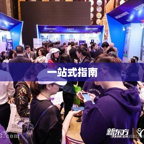 出国准备全攻略，一站式指南  第1张