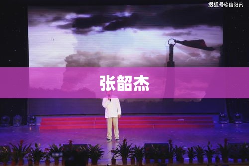 张韶杰，音乐之路的辉煌与人生风采的展现  第1张