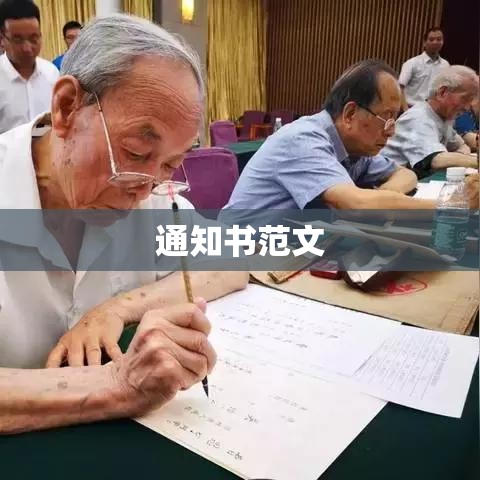 通知书范文与重要性解析  第1张