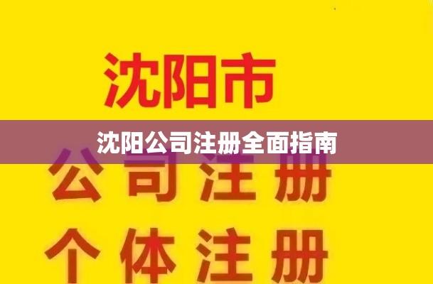 沈阳公司注册全面指南  第1张