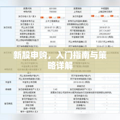 新股申购，入门指南与策略详解  第1张