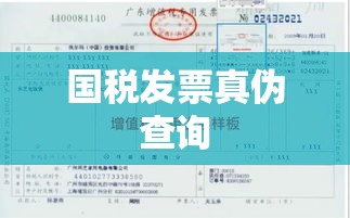 国税发票真伪查询，保障权益与提升效率的关键流程  第1张