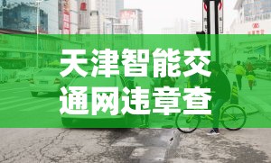 天津智能交通网违章查询，便捷高效的城市交通管理体验  第1张