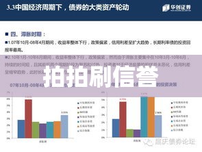 拍拍刷信誉，策略解析与影响探讨  第1张