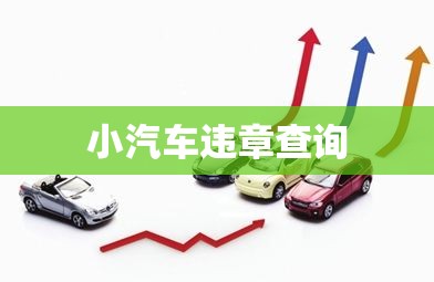 小汽车违章查询，便捷之路与未来展望  第1张