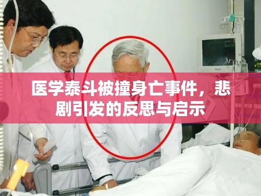 医学泰斗被撞身亡事件，悲剧引发的反思与启示  第1张