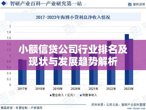 小额信贷公司行业排名及现状与发展趋势解析  第1张