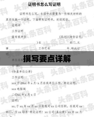 全面解读证明书样本，格式、内容与撰写要点详解  第1张