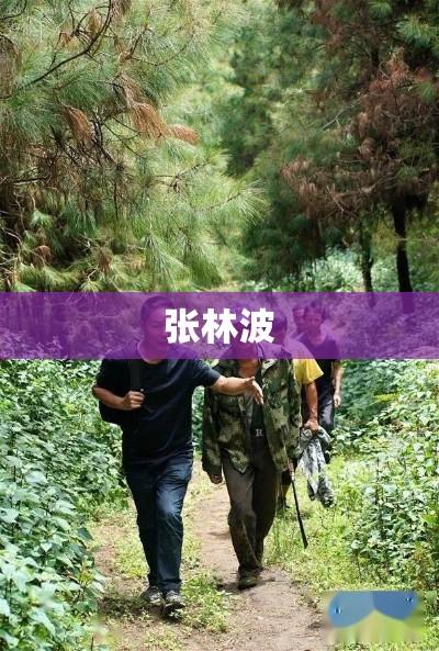 张林波，时代引领者的杰出风采  第1张