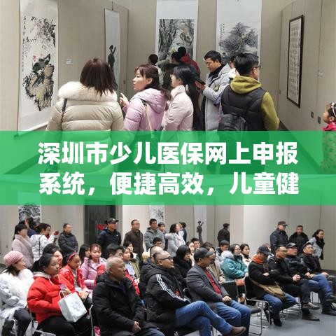 深圳市少儿医保网上申报系统，便捷高效，儿童健康保障新助力  第1张