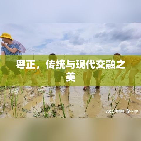 粤正，传统与现代交融之美  第1张