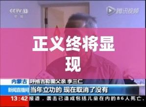 呼格案追责27人，正义虽迟但终将显现  第1张