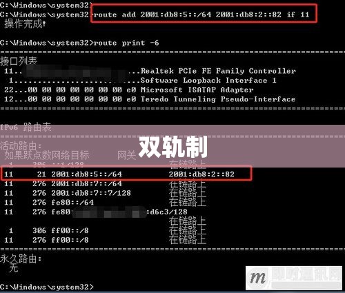 双轨制，概念解析、应用实践与意义探讨  第1张