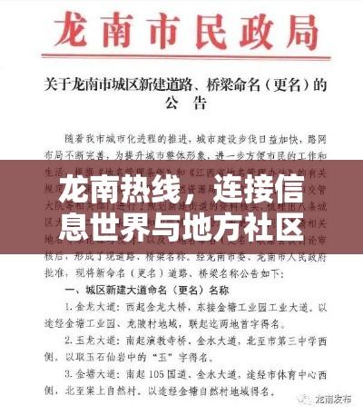 龙南热线，连接信息世界与地方社区的桥梁  第1张