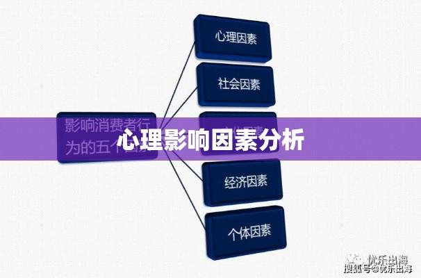 探究消费者行为，决策背后的心理影响因素分析  第1张