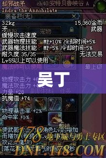 吴丁，勇者之路的无尽探索  第1张