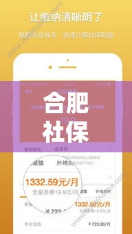 合肥社保查询，便捷途径与深度解读  第1张