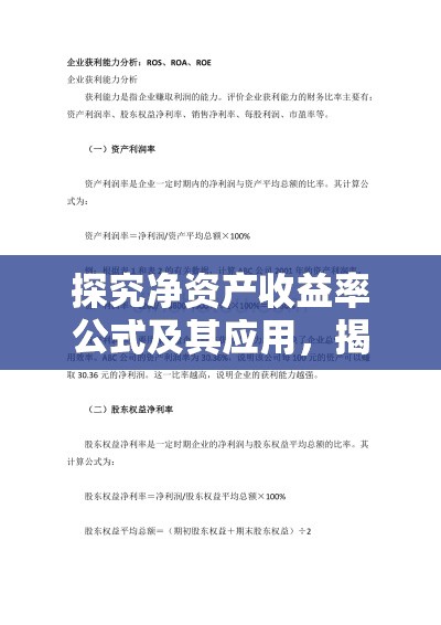 探究净资产收益率公式及其应用，揭示企业盈利能力的关键指标  第1张