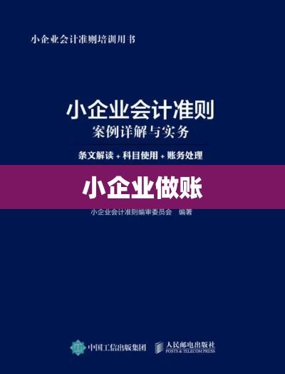 小企业做账，理解与实践指南  第1张