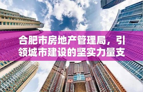 合肥市房地产管理局，引领城市建设的坚实力量支柱  第1张