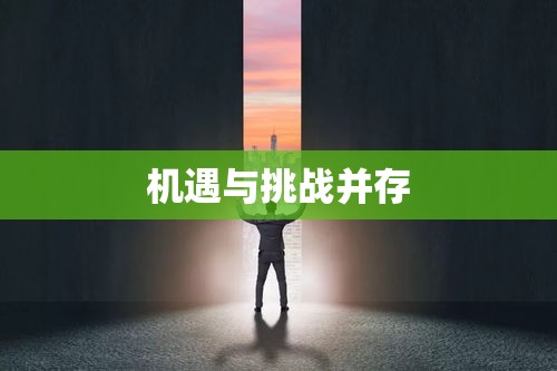 外资银行贷款，机遇与挑战的并存状态  第1张