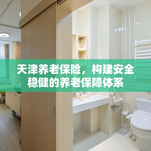 天津养老保险，构建安全稳健的养老保障体系  第1张