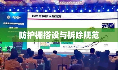 防护棚搭设与拆除规范，安全、效率与环保的综合指南  第1张